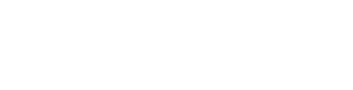 TRIIVISION